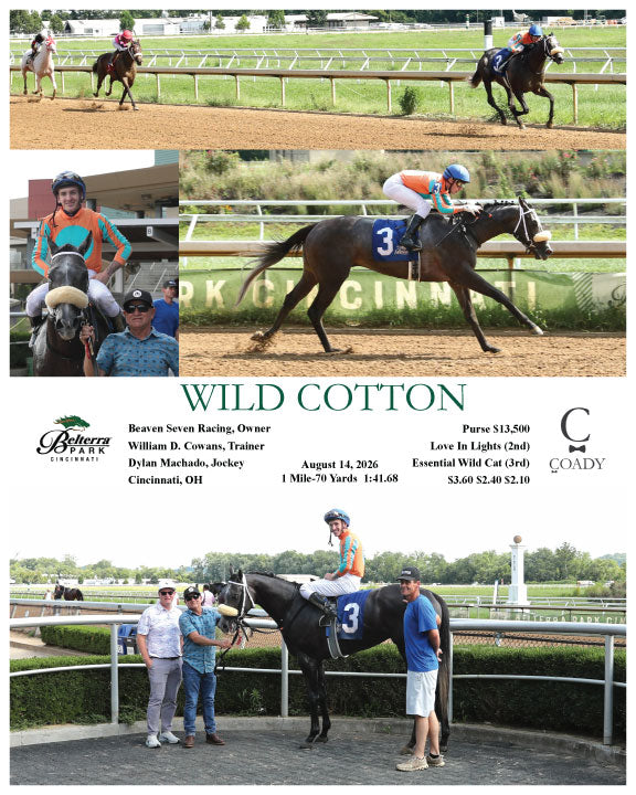 WILD COTTON - 08-14-26 - R08 - BTP