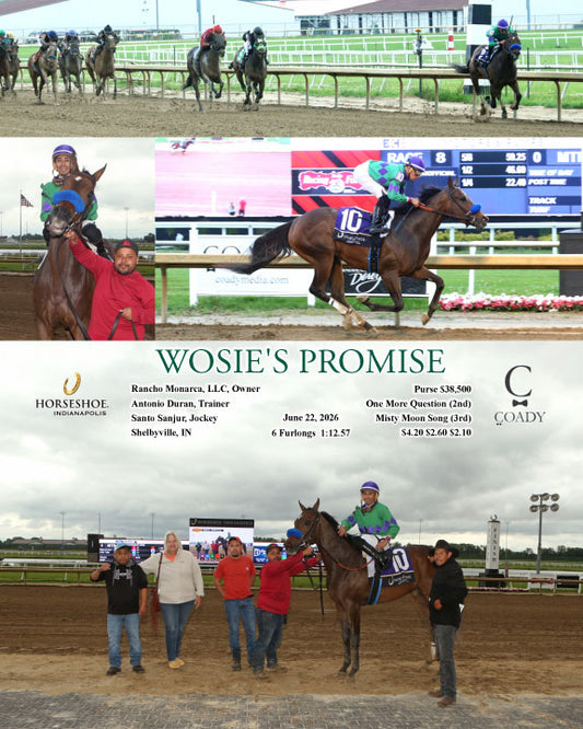 WOSIE'S PROMISE - 06-22-26 - R08 - IND