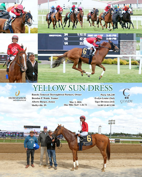 YELLOW SUN DRESS - 05-02-26 - R08 - IND - Coady Media - Kurtis Coady Photography