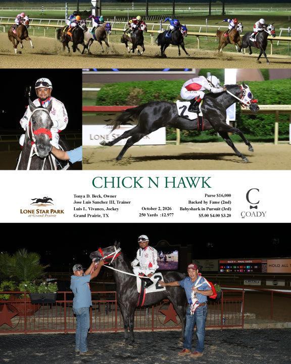 CHICK N HAWK - 10-02-26 - R09 - LSP