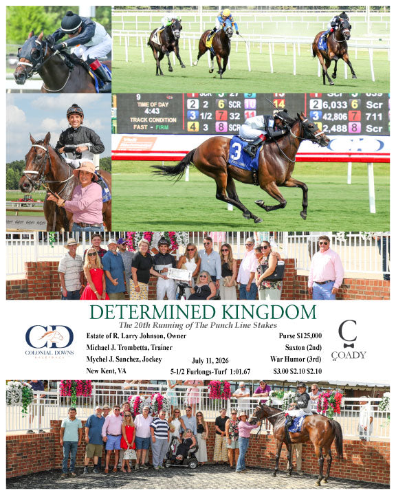 DETERMINED KINGDOM - The 20th Running of The Punch Line Stakes - 07-11-26 - R09 - CNL