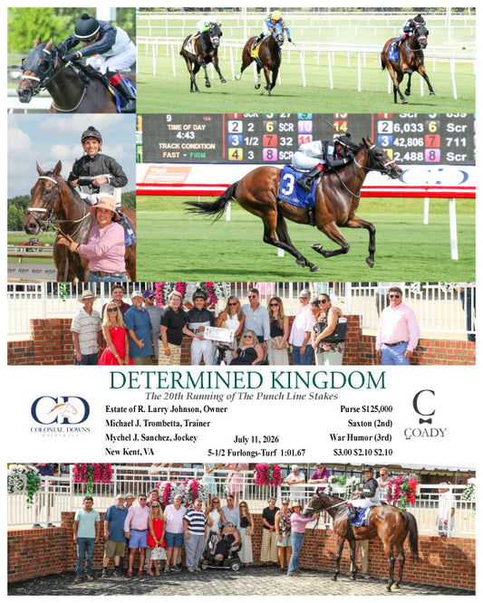 DETERMINED KINGDOM - The 20th Running of The Punch Line Stakes - 07-11-26 - R09 - CNL