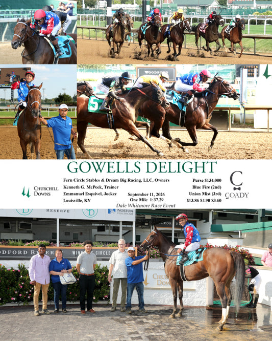 GOWELLS DELIGHT - 091126 - Race 09 - CD