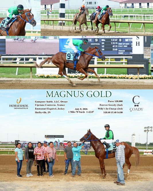 MAGNUS GOLD - 07-08-26 - R09 - IND