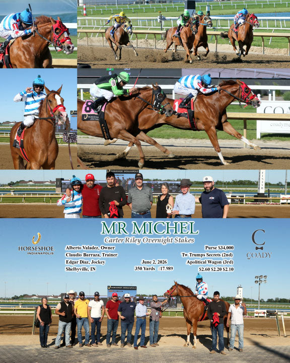MR MICHEL - Carter Riley Overnight Stakes - 06-02-26 - R09 - IND