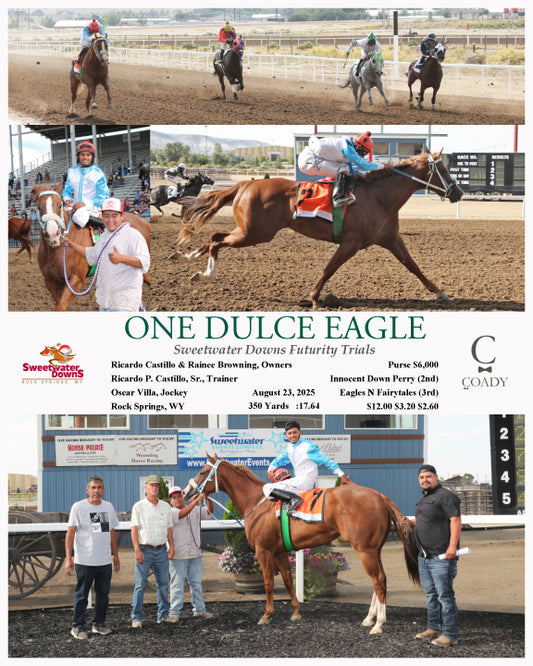 ONE DULCE EAGLE - Sweetwater Downs Futurity Trials - 08-23-25 - R09 - SWF