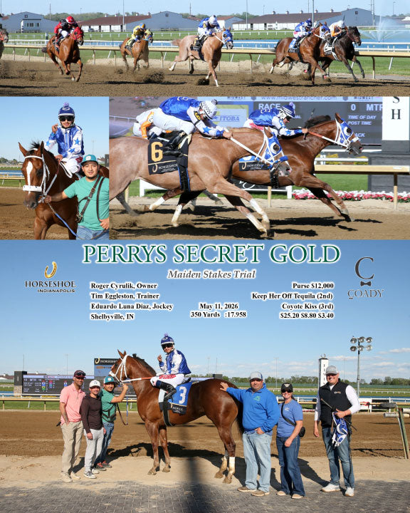 PERRYS SECRET GOLD - Maiden Stakes Trial - 05-11-26 - R09 - IND - Coady Media - Kurtis Coady Photography
