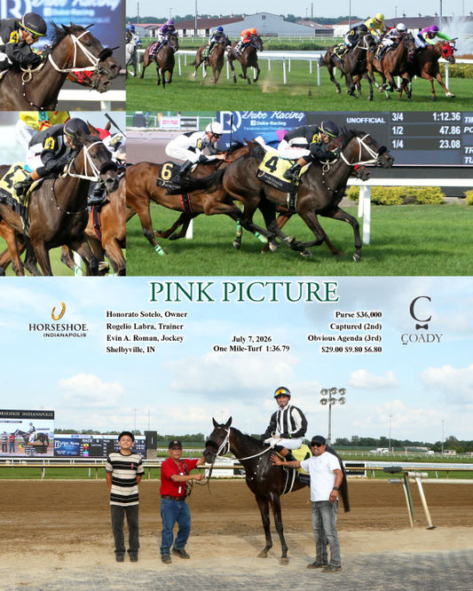 PINK PICTURE - 07-07-26 - R09 - IND