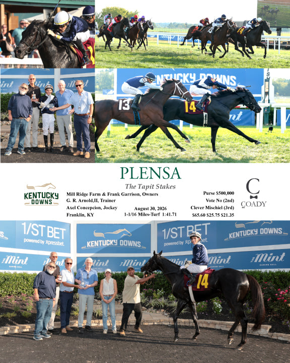 PLENSA - The Tapit Stakes - 08-30-26 - R09 - KD