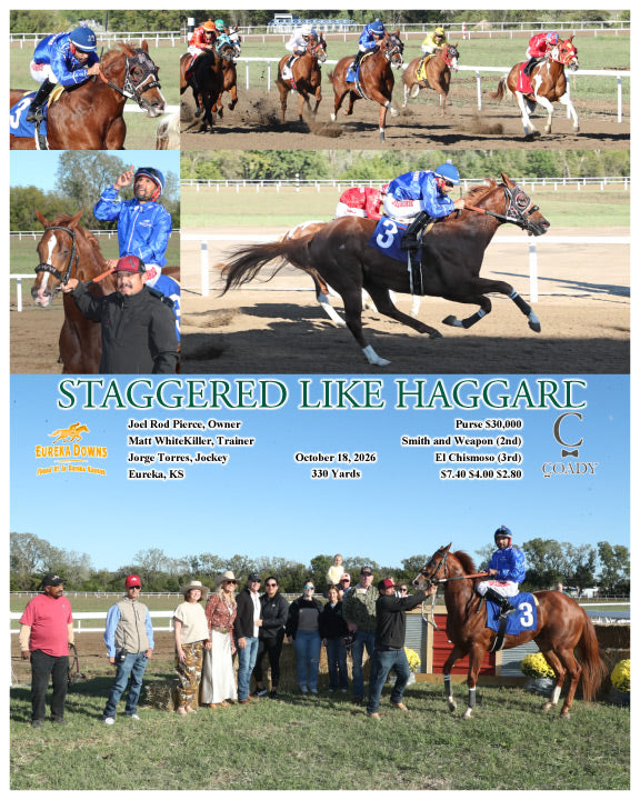 STAGGERED LIKE HAGGARD - 10-18-26 - R09 - EUR