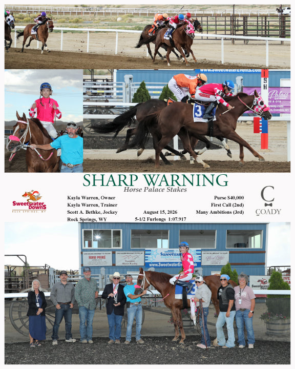 SHARP WARNING  - Horse Palace Stakes - 08-15-26 - R09 - SWF