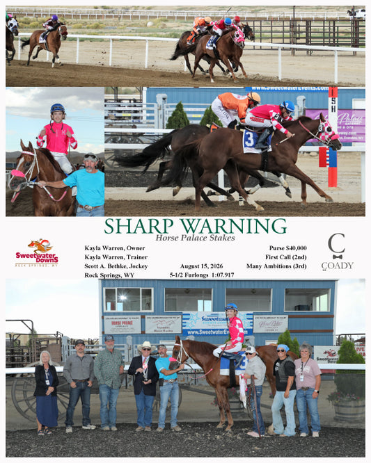 SHARP WARNING  - Horse Palace Stakes - 08-15-26 - R09 - SWF