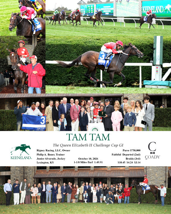 TAM TAM - 101026 - Race 09 - KEE  The Queen Elizabeth II Challenge Cup GI