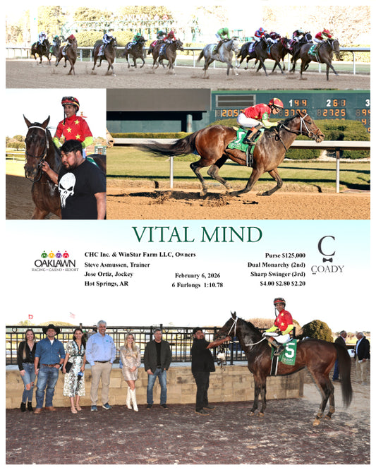 VITAL MIND - 02-06-26 - R09 - OP - Coady Media - Kurtis Coady Photography