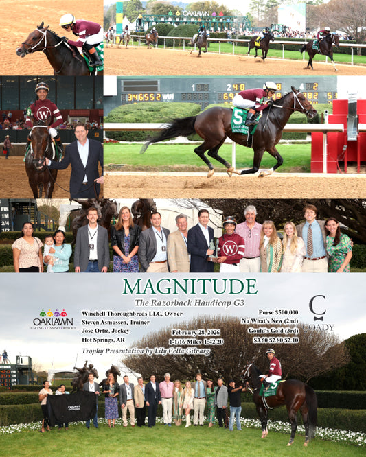 MAGNITUDE - The Razorback Handicap G3 - 02-28-26 - R10 - OP - Coady Media - Kurtis Coady Photography