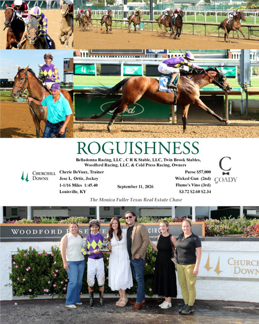 ROGUISHNESS - 091126 - Race 10 - CD Group