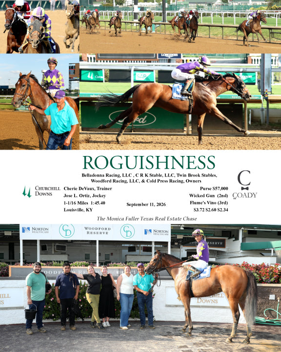 ROGUISHNESS - 091126 - Race 10 - CD
