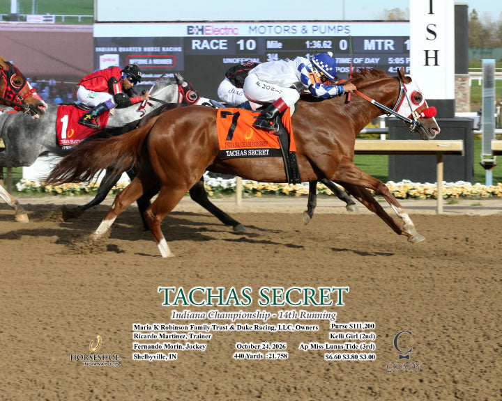TACHAS SECRET - Indiana Championship - 14th Running - 10-24-26 - R10 - IND - Action