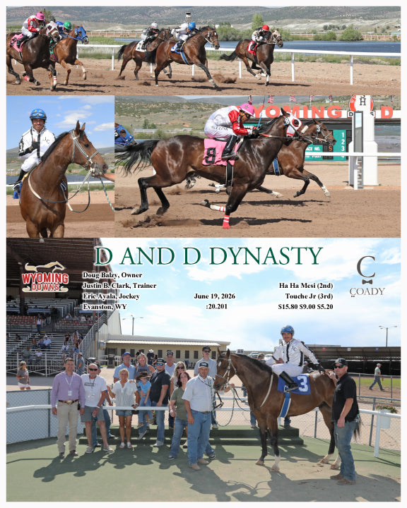 D AND D DYNASTY - 06-19-26 - R11 - WYO