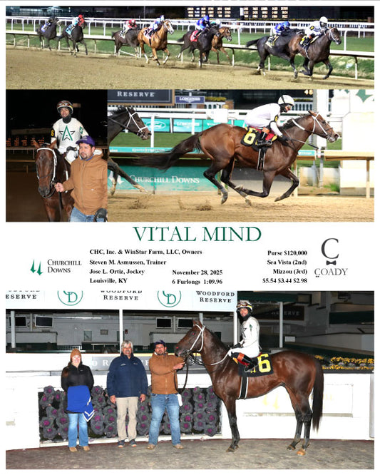 VITAL MIND - 11-28-25 - R12 - CD
