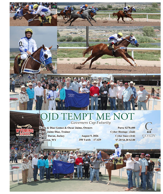 OJD TEMPT ME NOT - Governers Cup Futurity - 08-09-26 - R04 - WYO