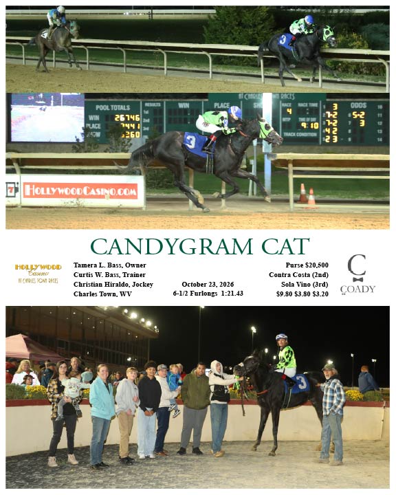CANDYGRAM CAT - 10-23-26 - R04 - CT - Coady Media - Kurtis Coady Photography