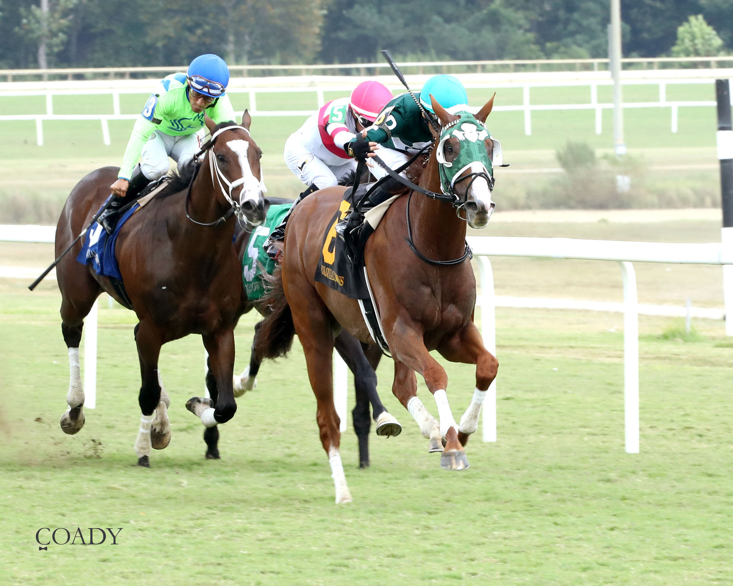 SAFE TRIP HOME - The Colonial Cup - 09-06-25 - R06 - CNL - Finish 02 - Coady Media - Kurtis Coady Photography