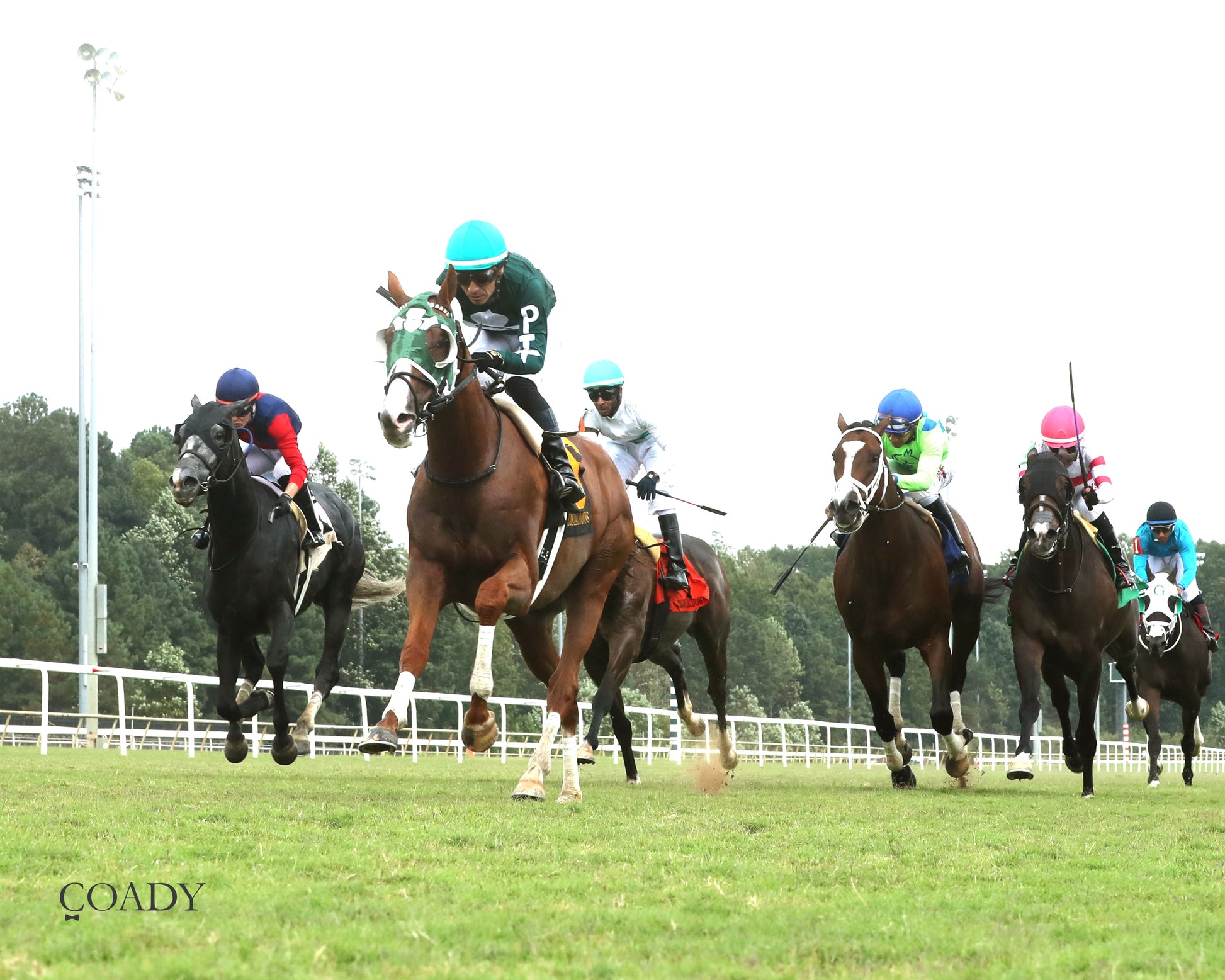 SAFE TRIP HOME - The Colonial Cup - 09-06-25 - R06 - CNL - Under Rail 01 - Coady Media - Kurtis Coady Photography