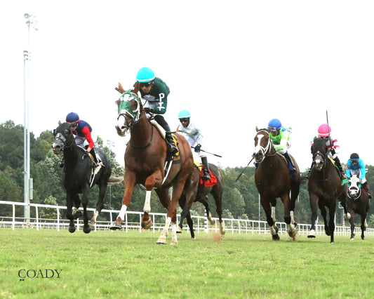 SAFE TRIP HOME - The Colonial Cup - 09-06-25 - R06 - CNL - Under Rail 01 - Coady Media - Kurtis Coady Photography