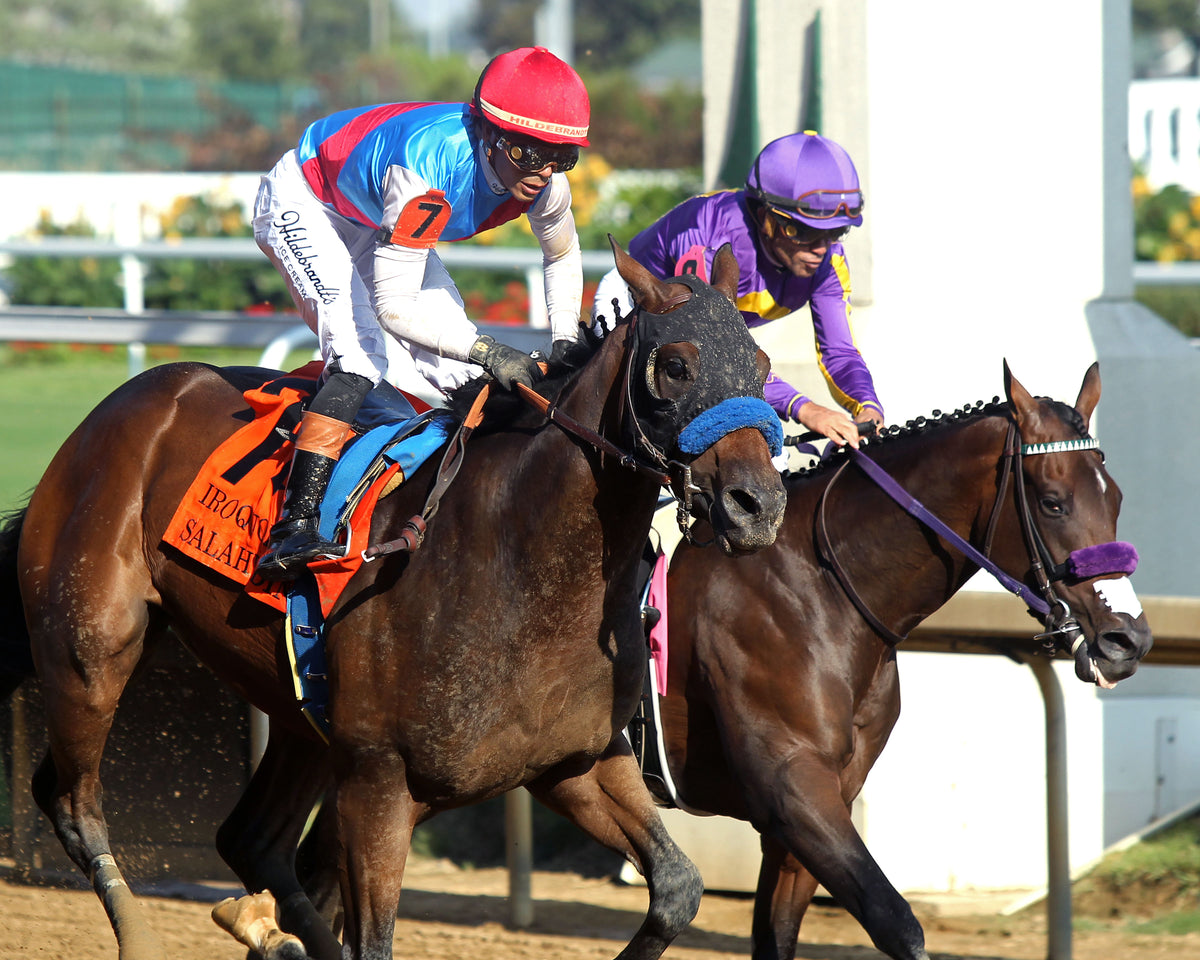 SALAHUDIN - 091226 - Race 10 - CD - Celebration 01