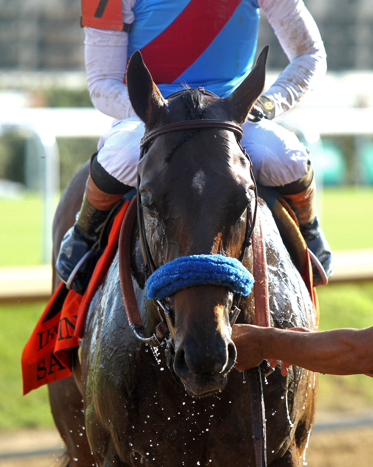 SALAHUDIN - 091226 - Race 10 - CD - Comeback 01