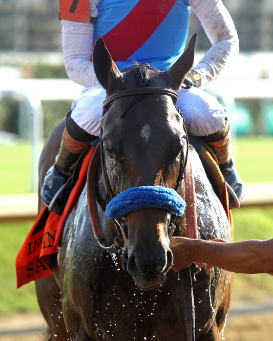 SALAHUDIN - 091226 - Race 10 - CD - Comeback 01
