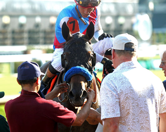 SALAHUDIN - 091226 - Race 10 - CD - Comeback 02