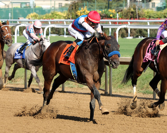 SALAHUDIN - 091226 - Race 10 - CD - Finish 03