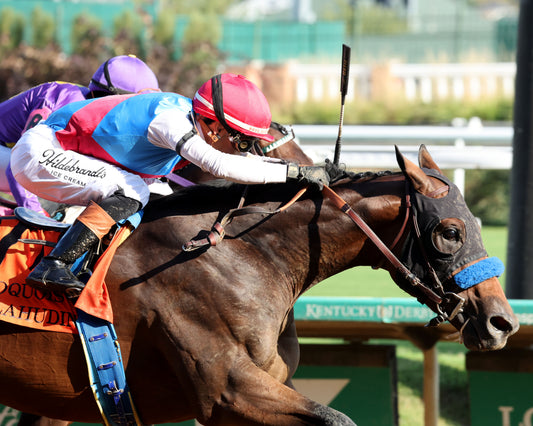 SALAHUDIN - 091226 - Race 10 - CD - Finish 05