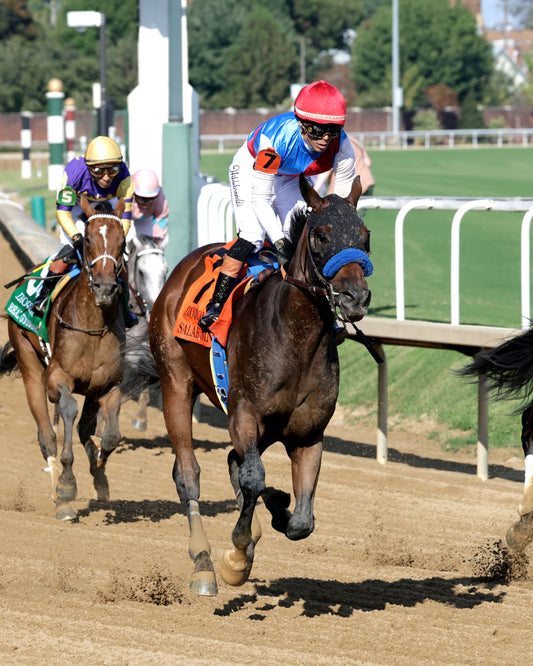 SALAHUDIN - 091226 - Race 10 - CD - Gallop Out 01