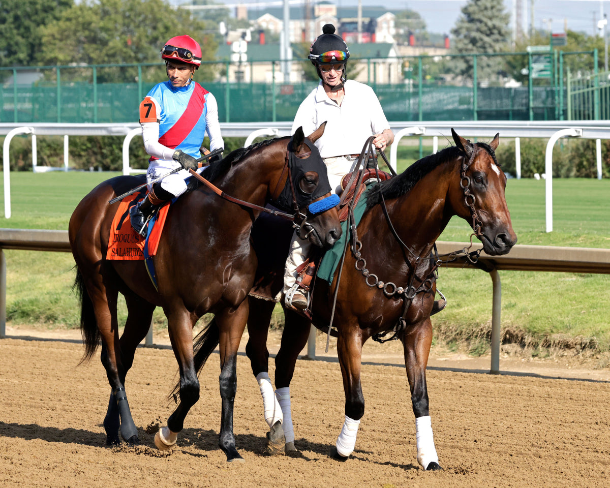SALAHUDIN - 091226 - Race 10 - CD - Post Parade 03