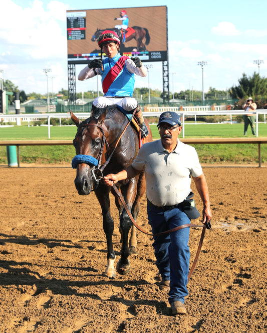 SALAHUDIN - 091226 - Race 10 - CD - Walk in 01