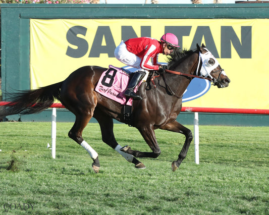 SALINE RIVER - Cotton Fitzsimmons Handicap - 03-21-26 - R07 - Turf Paradise - Finish - Coady Media - Kurtis Coady Photography