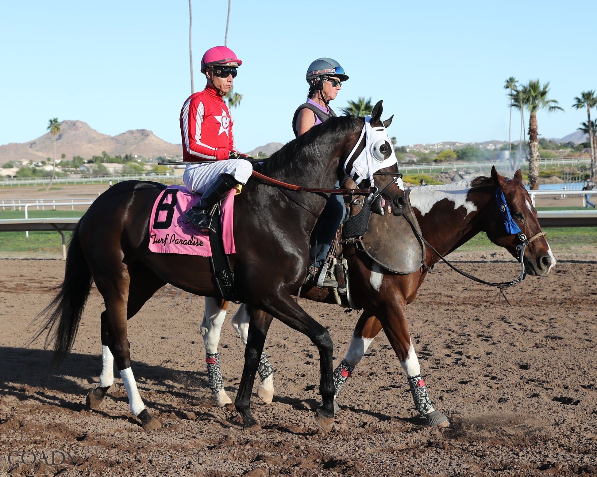 SALINE RIVER - Cotton Fitzsimmons Handicap - 03-21-26 - R07 - Turf Paradise - Post Parade - Coady Media - Kurtis Coady Photography