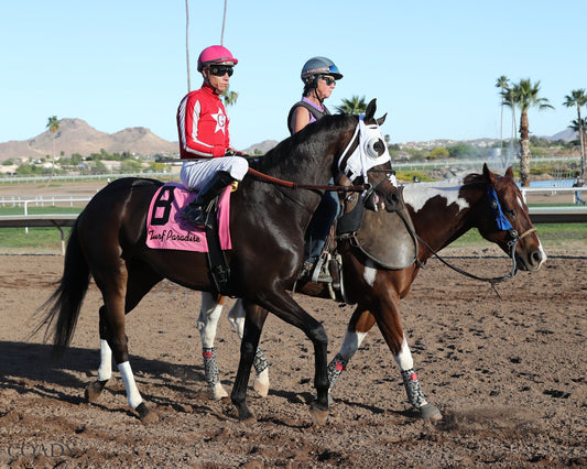 SALINE RIVER - Cotton Fitzsimmons Handicap - 03-21-26 - R07 - Turf Paradise - Post Parade - Coady Media - Kurtis Coady Photography