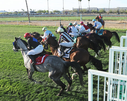 SALINE RIVER - Cotton Fitzsimmons Handicap - 03-21-26 - R07 - Turf Paradise - Starting Gate - Coady Media - Kurtis Coady Photography