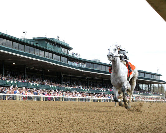 SAUDI CROWN - 040426 - Race 07 - KEE - Under Rail 01 - Coady Media - Kurtis Coady Photography