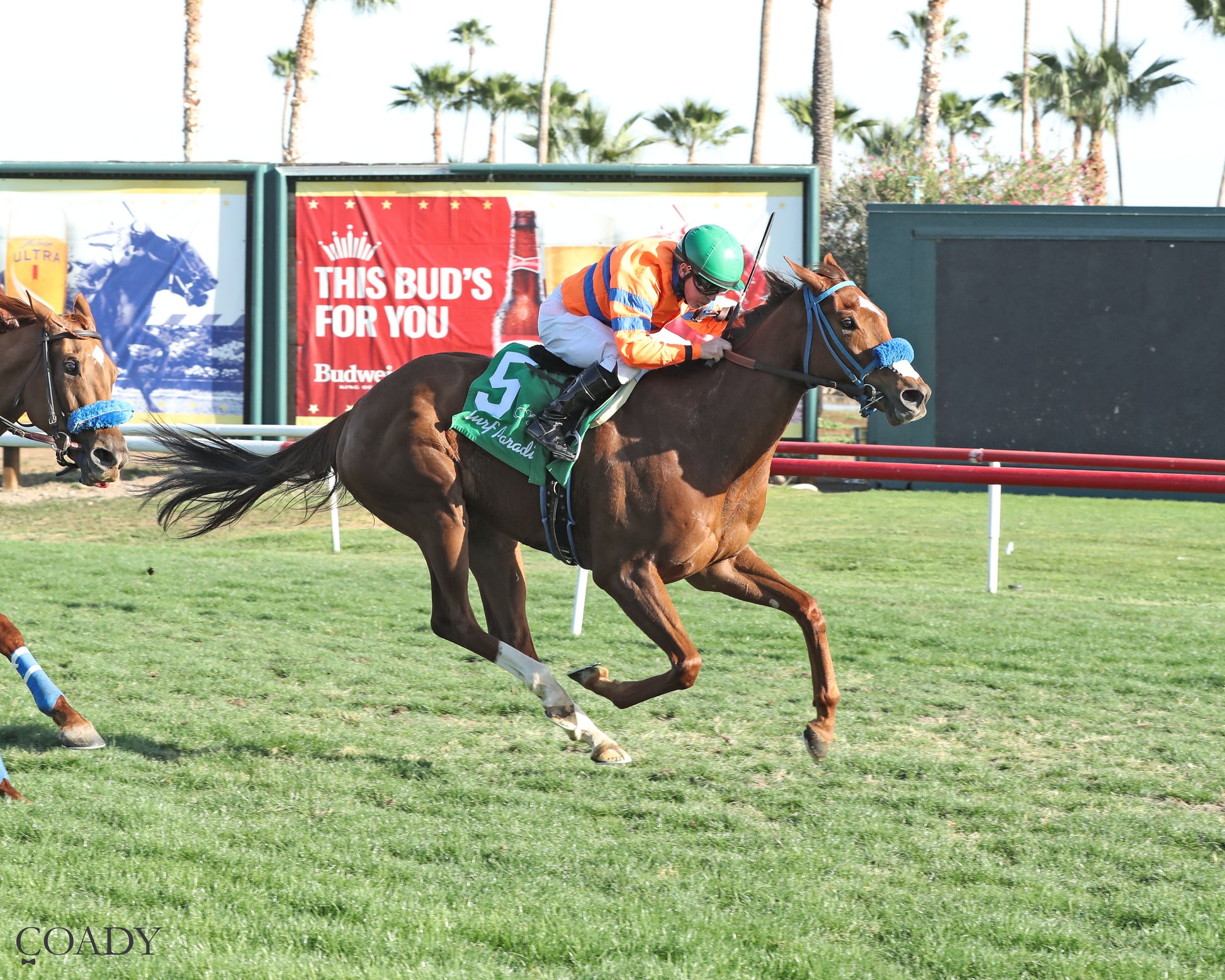 SAYUCAN - Molly P Overnight Handicap - 02-12-26 - R07 - TUP Finish - Coady Media - Kurtis Coady Photography