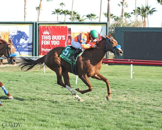 SAYUCAN - Molly P Overnight Handicap - 02-12-26 - R07 - TUP Finish - Coady Media - Kurtis Coady Photography