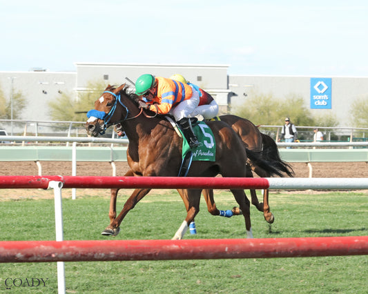 SAYUCAN - Molly P Overnight Handicap - 02-12-26 - R07 - TUP Inside Finish - Coady Media - Kurtis Coady Photography