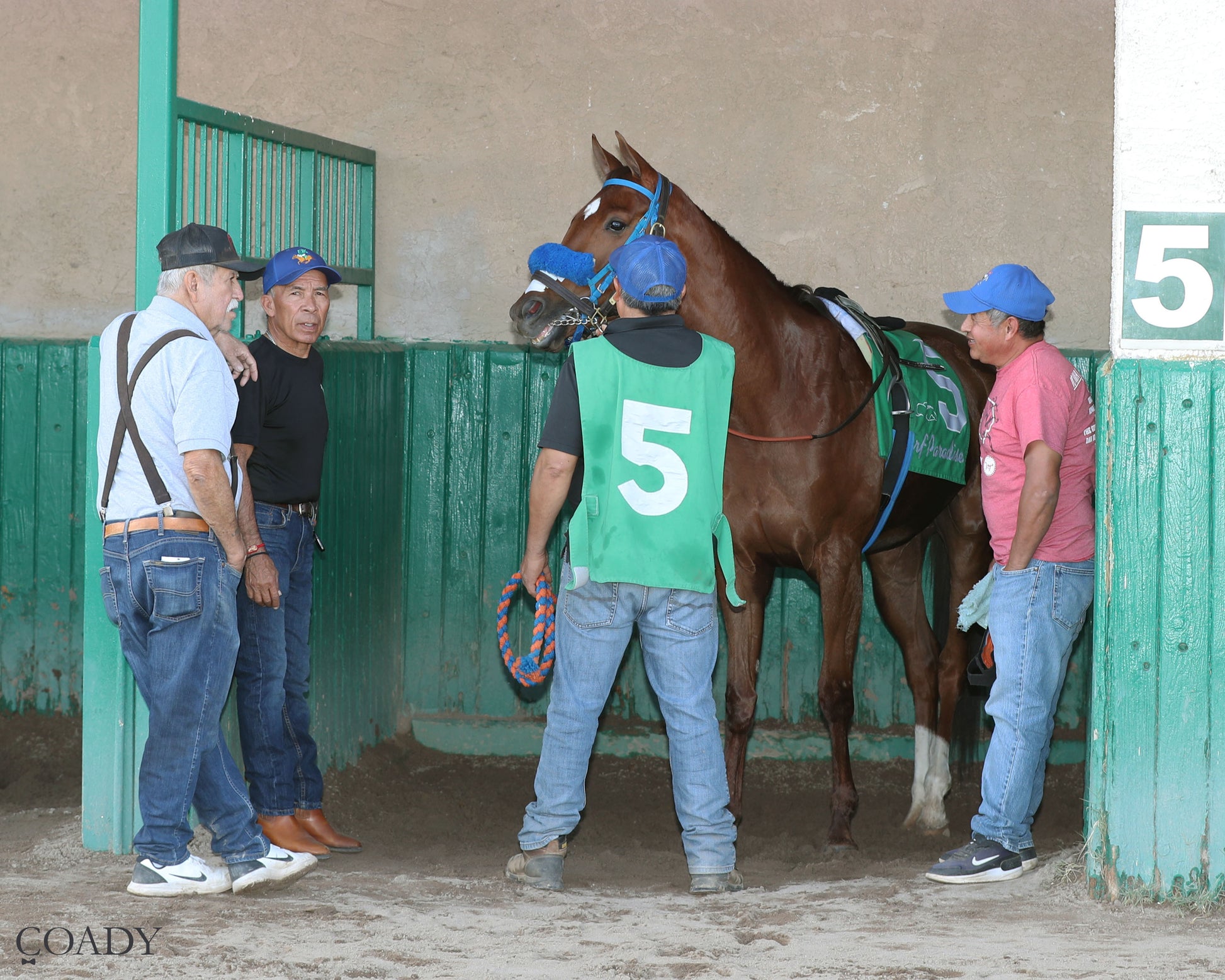 SAYUCAN - Molly P Overnight Handicap - 02-12-26 - R07 - Turf Paradise - Paddock - Coady Media - Kurtis Coady Photography