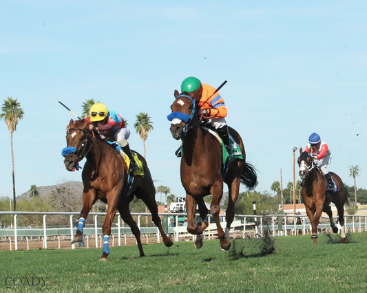 SAYUCAN - Molly P Overnight Handicap - 02-12-26 - R07 - Turf Paradise - Under Rail - Coady Media - Kurtis Coady Photography