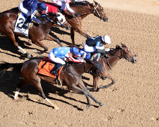 SEARCH PARTY - The Martha Washington Stakes - 02-06-26 - R06 - OP - Aerial Finish 01 - Coady Media - Kurtis Coady Photography
