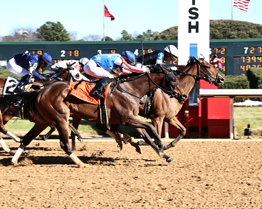 SEARCH PARTY - The Martha Washington Stakes - 02-06-26 - R06 - OP - Finish 01 - Coady Media - Kurtis Coady Photography